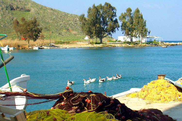 Georgioupolis: Geese in the harbour basin